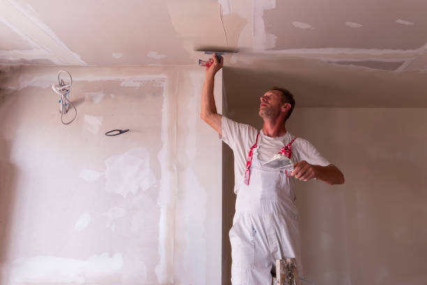 Best Drywall Sanding and Smoothing  in Shongopovi, AZ